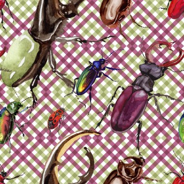 Egzotik böcekler vahşi böcek desen suluboya tarzında.