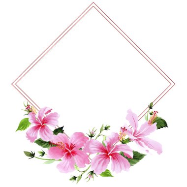 Kır çiçeği hibiscus Pembe çiçek çerçeve suluboya tarzında.