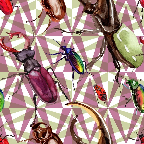 Coléoptères exotiques motif d'insectes sauvages dans un style aquarelle . — Photo