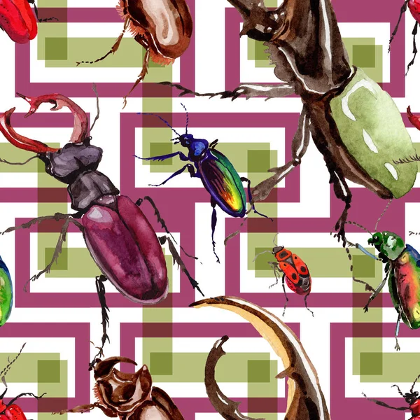 Escarabajos exóticos patrón de insectos silvestres en un estilo de acuarela . —  Fotos de Stock
