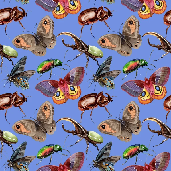 Exotic beetles wild insect pattern in a watercolor style. — Stock Photo, Image