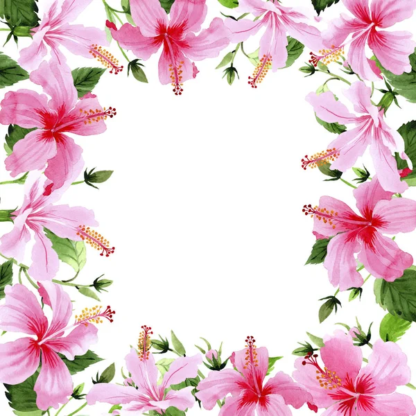 Wildblume Hibiskus rosa Blumenrahmen im Aquarell-Stil. — Stockfoto