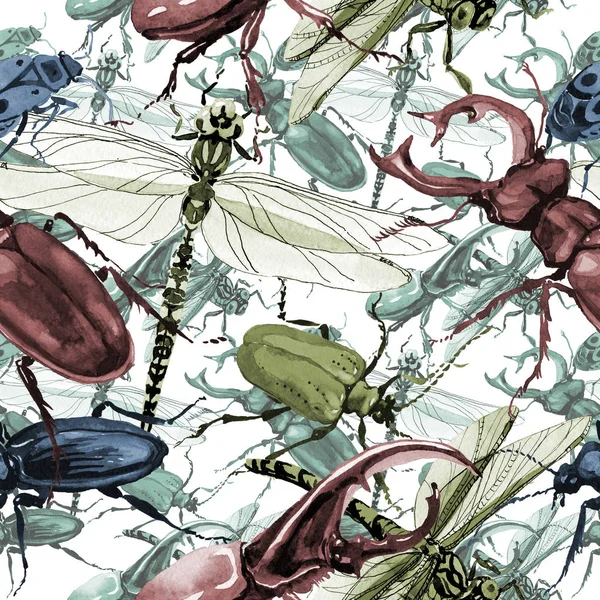 Exotické brouky divoké hmyzu vzor ve stylu akvarelu. — Stock fotografie