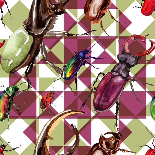 Coléoptères exotiques motif d'insectes sauvages dans un style aquarelle . — Photo