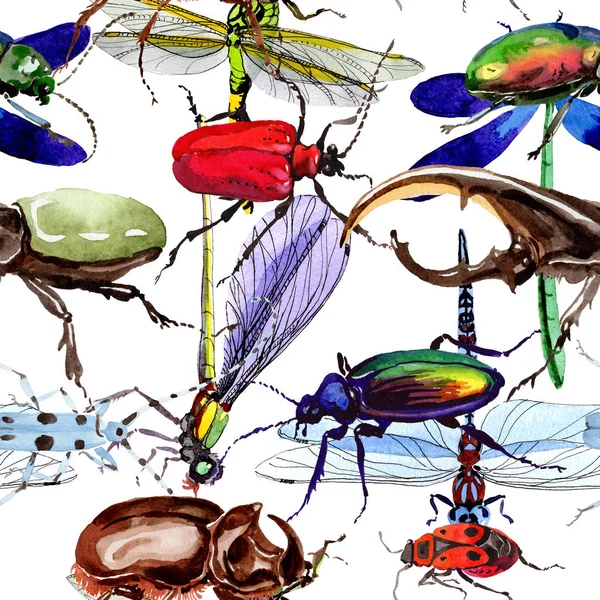 Egzotikus bogarak vadon élő rovarok minta akvarell stílusú. — Stock Fotó