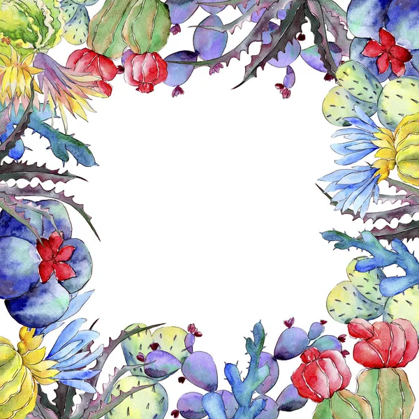 Wildblumen-Kaktus-Blumenrahmen im Aquarell-Stil. — Stockfoto