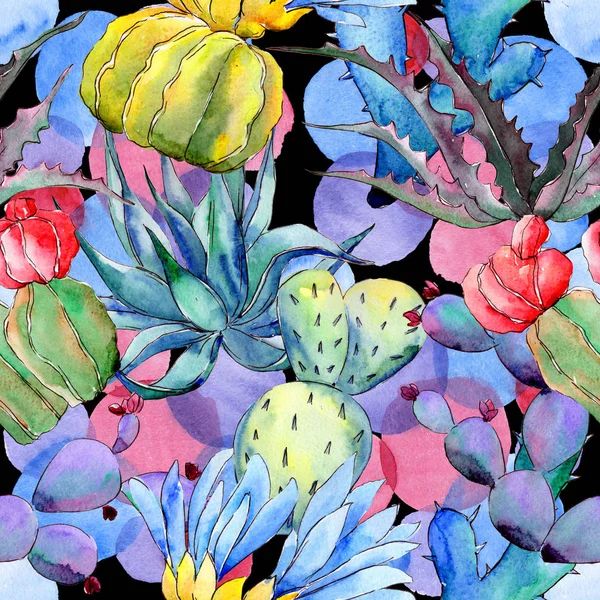 Wildflower cactus flower pattern in a watercolor style. — Stock Photo, Image