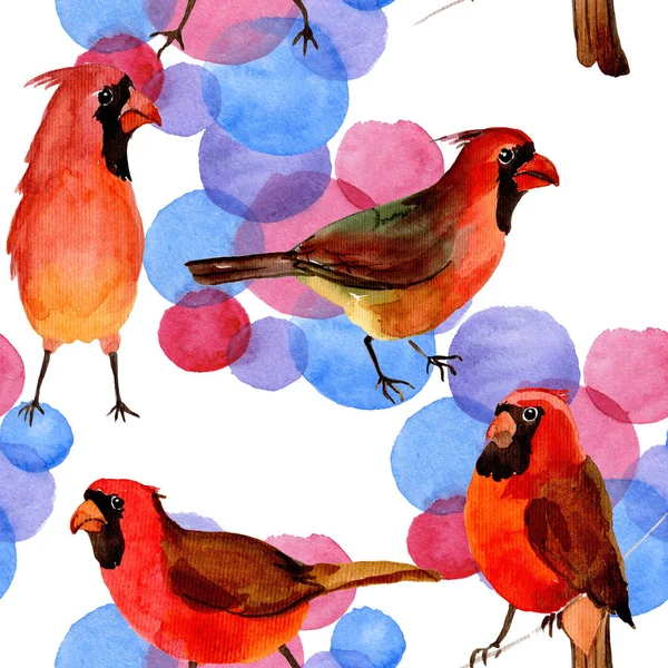 Sky bird red cardinal pattern in a wildlife by watercolor style. — Stock Photo, Image