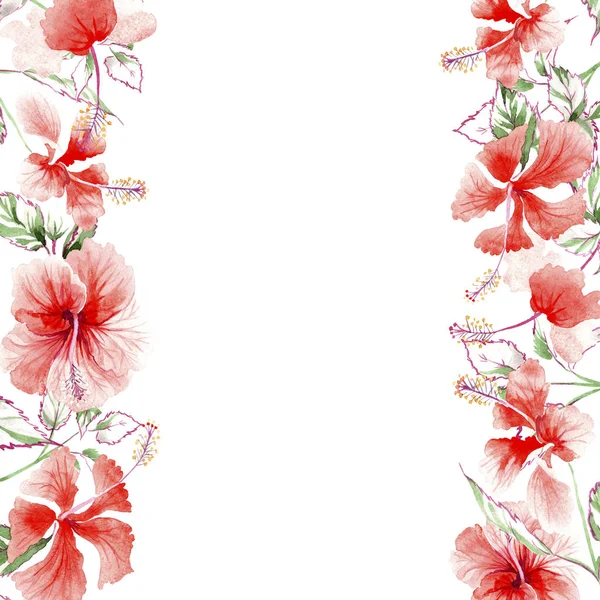 Wildflower rose flower frame in a watercolor style. — Stock Photo, Image