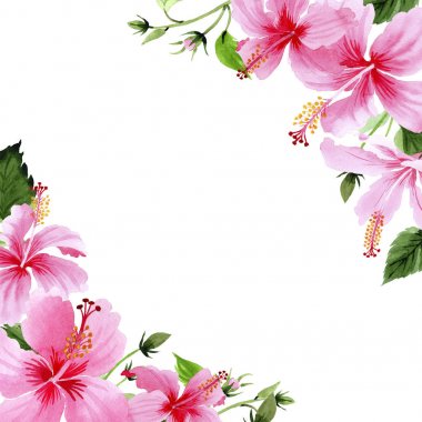 Kır çiçeği hibiscus Pembe çiçek çerçeve suluboya tarzında.