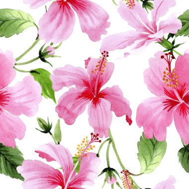 Kır çiçeği hibiscus Pembe çiçek deseni suluboya tarzında.