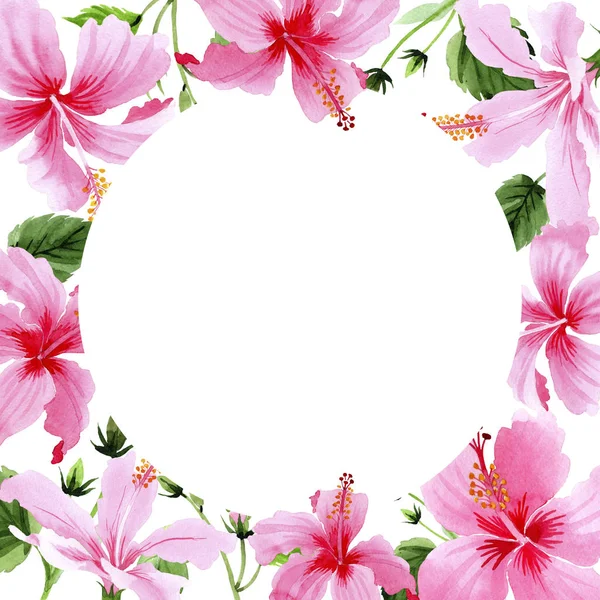 Wildblume Hibiskus rosa Blumenrahmen im Aquarell-Stil. — Stockfoto