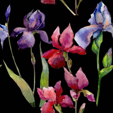 Kır çiçeği Iris çiçek deseni suluboya tarzında.
