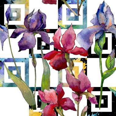 Kır çiçeği Iris çiçek deseni suluboya tarzında.