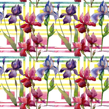 Kır çiçeği Iris çiçek deseni suluboya tarzında.