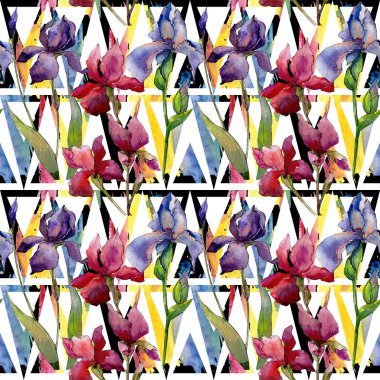 Kır çiçeği Iris çiçek deseni suluboya tarzında.