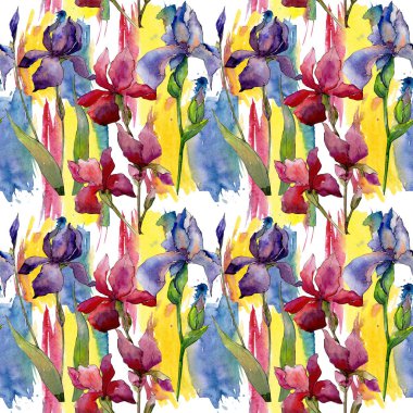 Kır çiçeği Iris çiçek deseni suluboya tarzında.