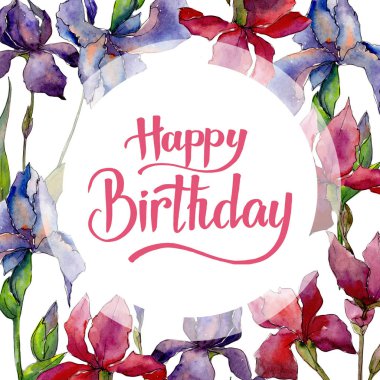 Kır çiçeği Iris çiçek framr suluboya tarzında.