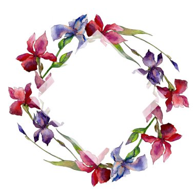 Kır çiçeği Iris çiçek çelenk suluboya tarzında.