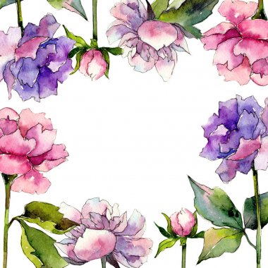 Kır çiçeği Şakayık çiçeği çerçeve suluboya tarzında.