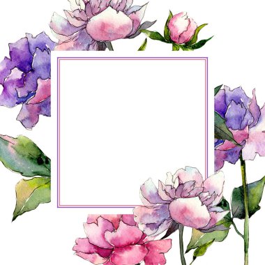 Kır çiçeği Şakayık çiçeği çerçeve suluboya tarzında.