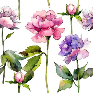 Kır çiçeği peony çiçek deseni suluboya tarzında.