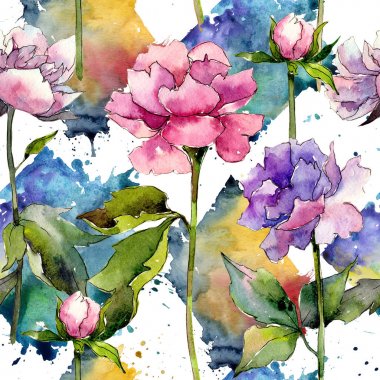 Kır çiçeği peony çiçek deseni suluboya tarzında.