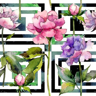 Kır çiçeği peony çiçek deseni suluboya tarzında.