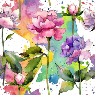 Kır çiçeği peony çiçek deseni suluboya tarzında.
