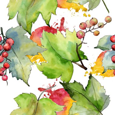 Frenk üzümü yaprağı deseni suluboya tarzında.