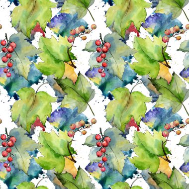 Frenk üzümü yaprağı deseni suluboya tarzında.