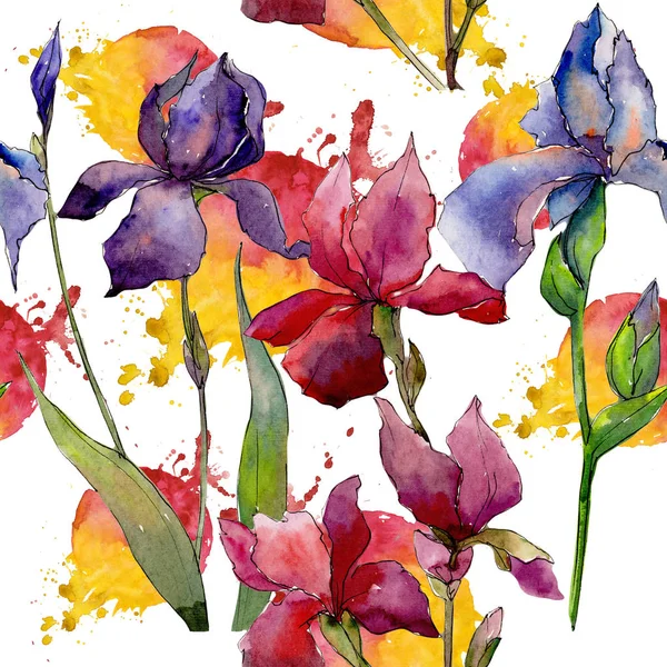 Wildflower iris flower pattern in a watercolor style.