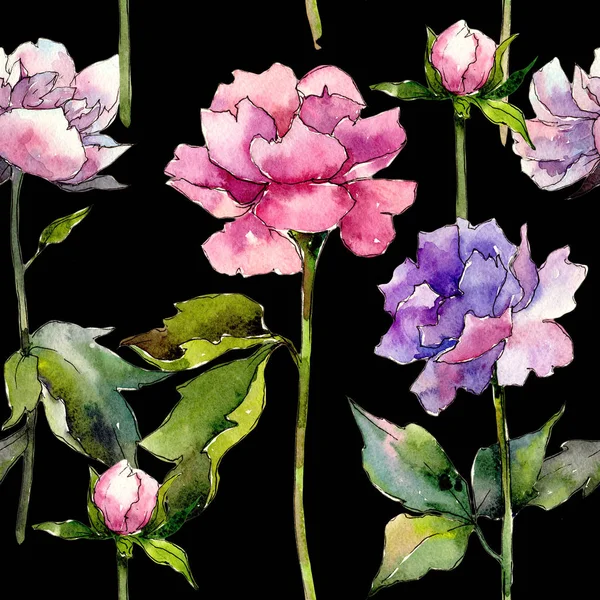 Modèle de fleur de pivoine de fleur sauvage dans un style aquarelle . — Photo