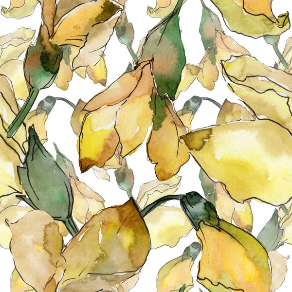 Patrón de hojas de acacia en un estilo de acuarela . — Foto de Stock