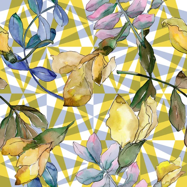 Acacia lämnar mönster i akvarell stil. — Stockfoto