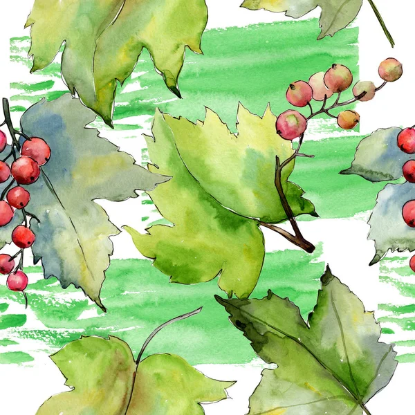 Vinbär lämnar mönster i akvarell stil. — Stockfoto