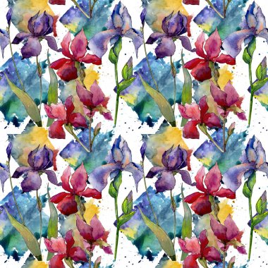 Kır çiçeği Iris çiçek deseni suluboya tarzında.