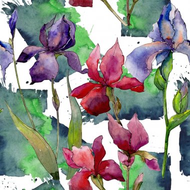 Kır çiçeği Iris çiçek deseni suluboya tarzında.