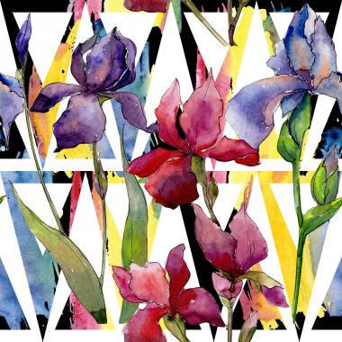 Kır çiçeği Iris çiçek deseni suluboya tarzında.