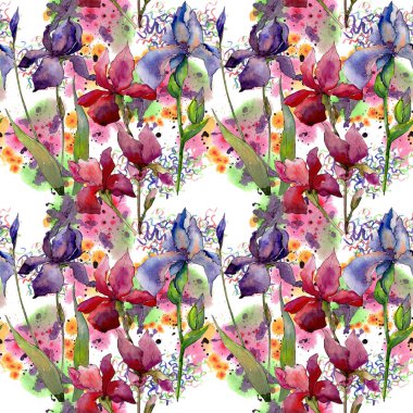 Kır çiçeği Iris çiçek deseni suluboya tarzında.