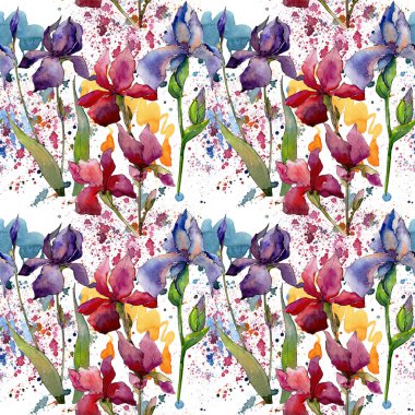 Kır çiçeği Iris çiçek deseni suluboya tarzında.