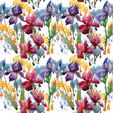 Kır çiçeği Iris çiçek deseni suluboya tarzında.