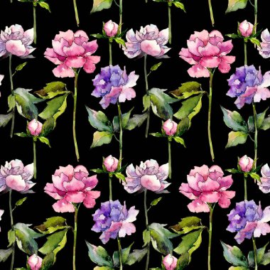 Kır çiçeği peony çiçek deseni suluboya tarzında.