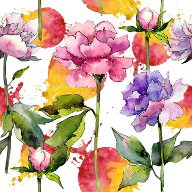 Kır çiçeği peony çiçek deseni suluboya tarzında.