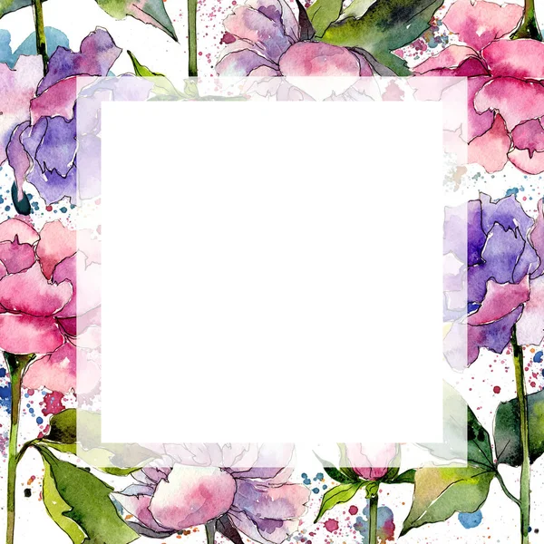 Wildflower peony flower frame in a watercolor style.