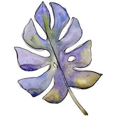 Bir suluboya tarzında izole tropikal yaprak.