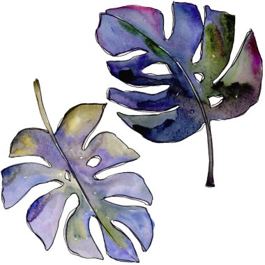 Bir suluboya tarzında izole tropikal yaprak.