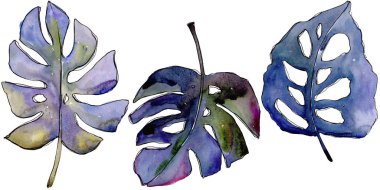 Bir suluboya tarzında izole tropikal yaprak.