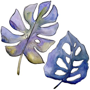 Bir suluboya tarzında izole tropikal yaprak.