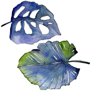 Bir suluboya tarzında izole tropikal yaprak.